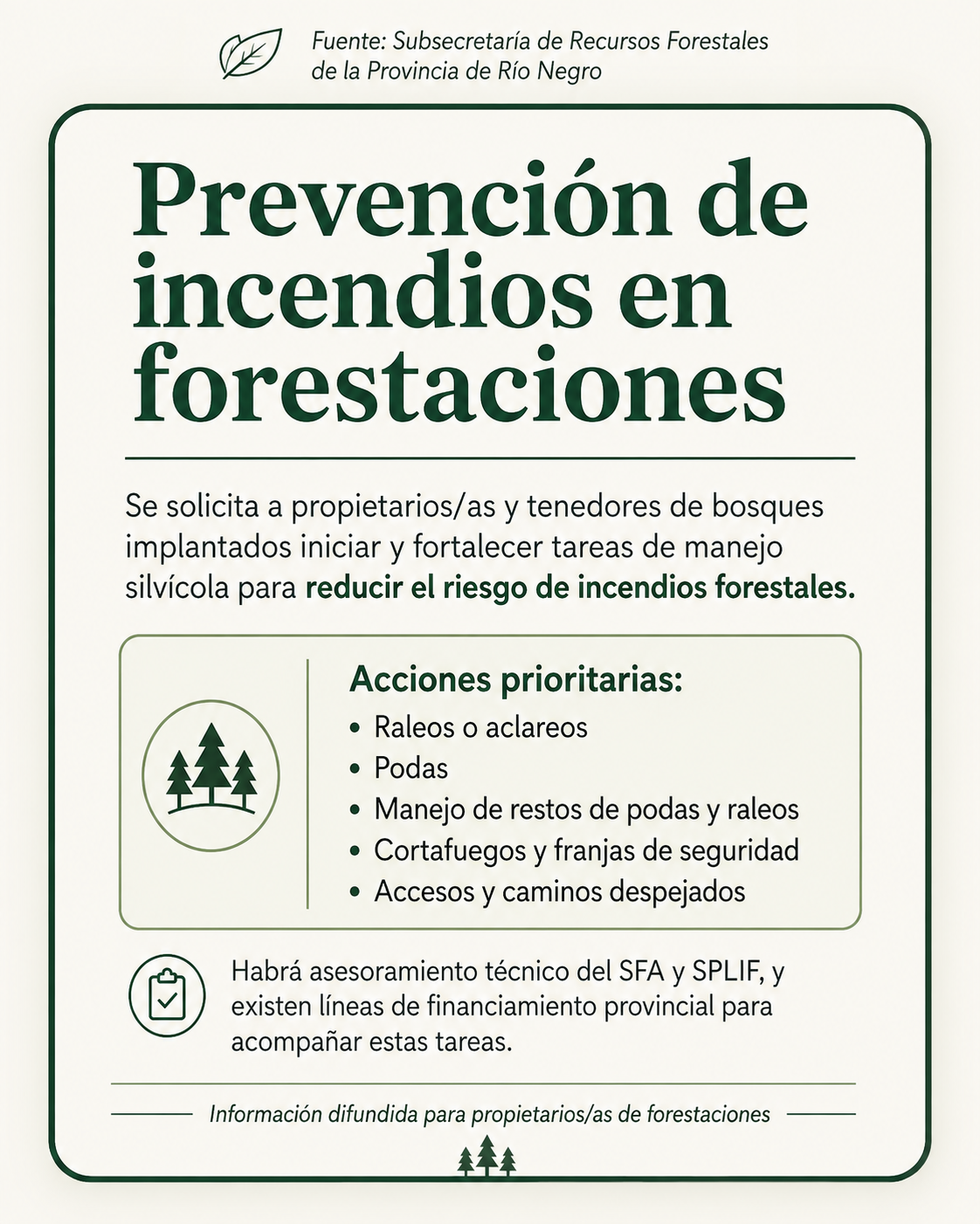 Recomendaciones dirigidas a propietarios/as y tenedores de bosques implantados de la zona andina